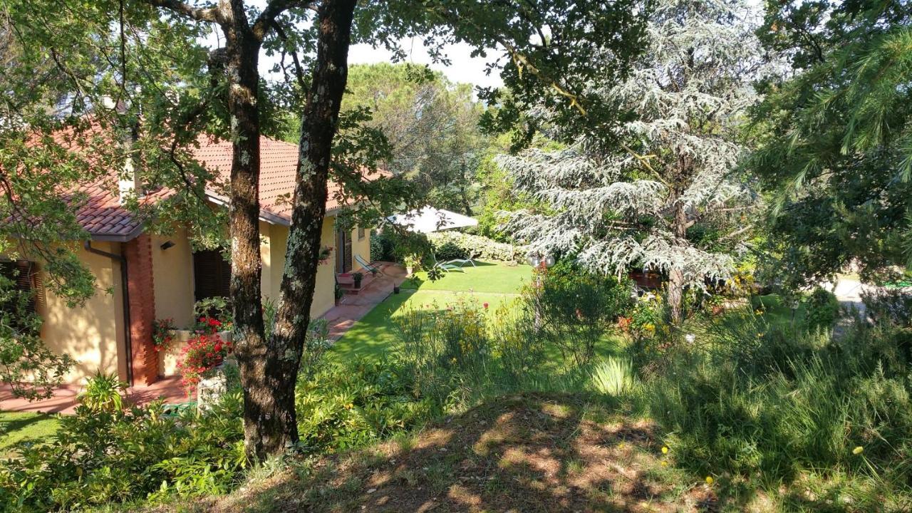 Villaspino Capolona Exterior foto